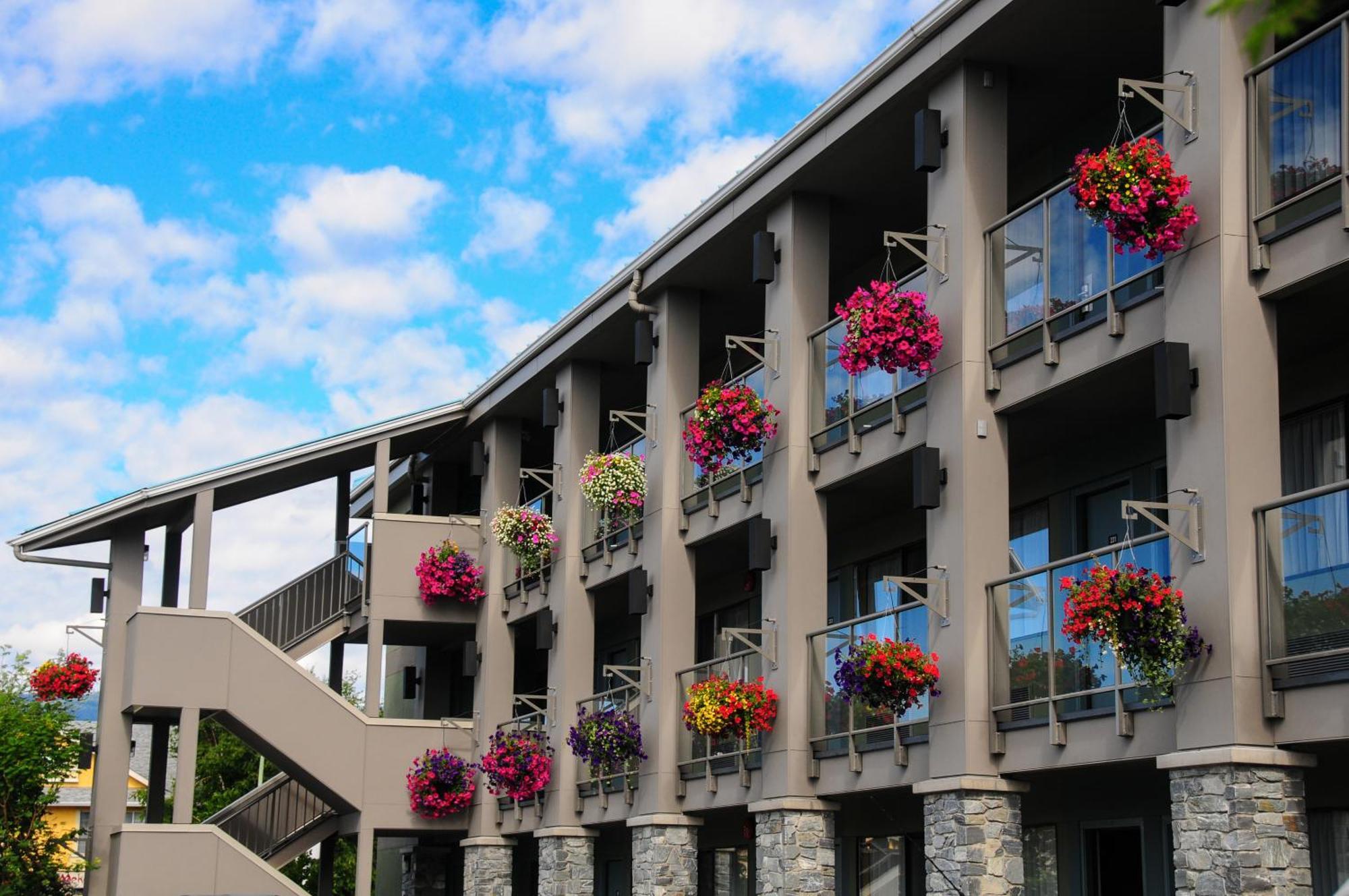 Accent Inns Burnaby Exterior foto